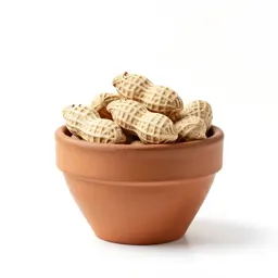 Hog peanut