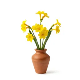 Jonquil
