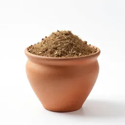 Kaoliang