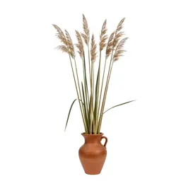 Lesser bullrush