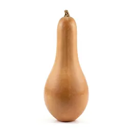 Luffa