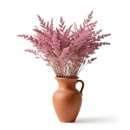 Marsh pink