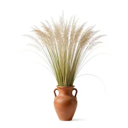 Midgrass