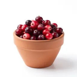 Native cranberry