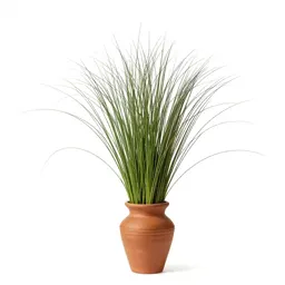 Nimblewill