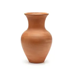Pavonia