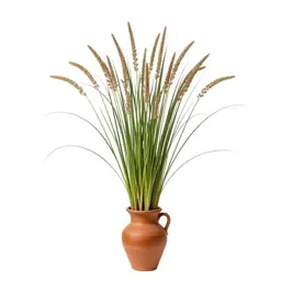 Pearl millet