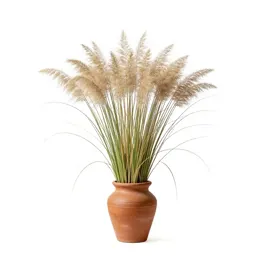 Prairie cordgrass