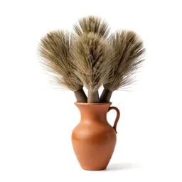 Rabbit brush