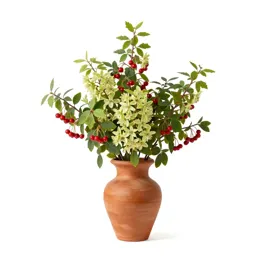 Red bryony