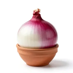 Red-skinned onion