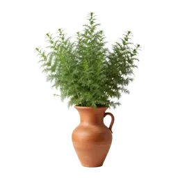 Richweed