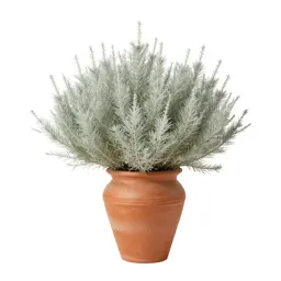 Sand sage
