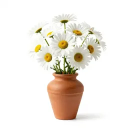 Showy daisy