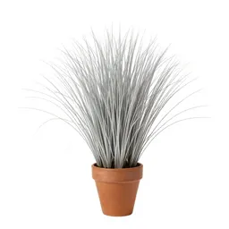 Silver grass