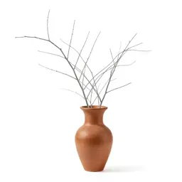 Silvervine