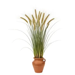 Slender wheatgrass