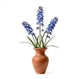 Southern blue flag