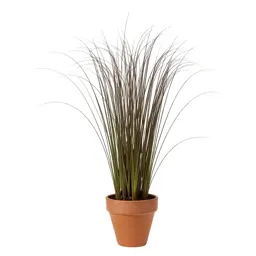 Spike rush