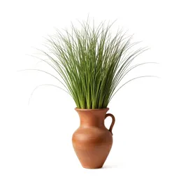 Squaw grass