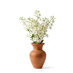Star-of-Bethlehem