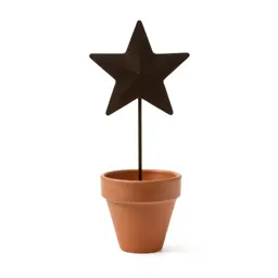 Starflower