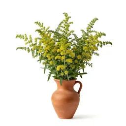 Sweet wormwood