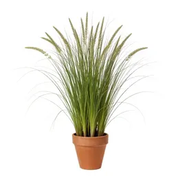 Tallgrass