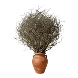 Tanglebush