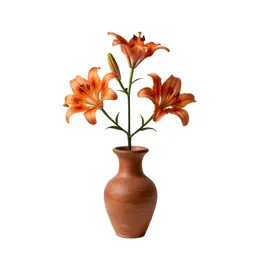 Tiger lily