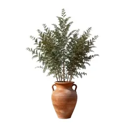 Tree heath