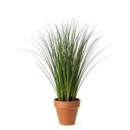 Velvet bent