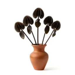 Water caltrop
