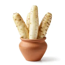 White yam