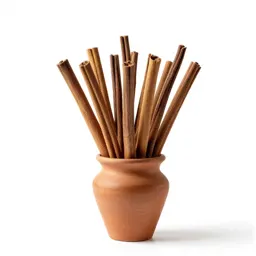 Wild cinnamon