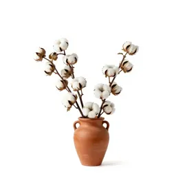 Wild cotton