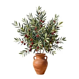 Wild olive