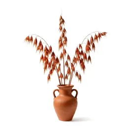 Wild red oat