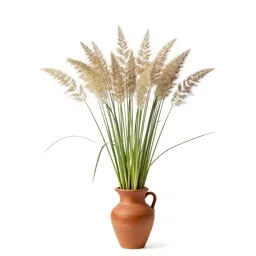 Wild rye