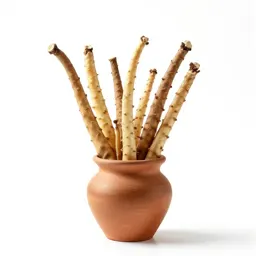 Wild yam