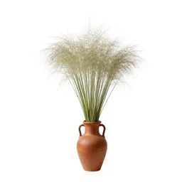 Windmill grass
