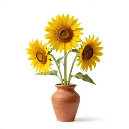 Woolly sunflower