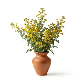 Wormwood
