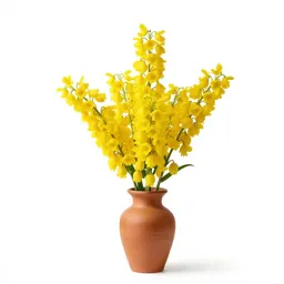 Yellow globe lily