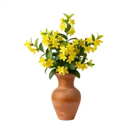Yellow jasmine