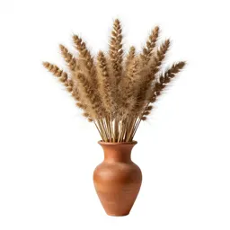 Abaca