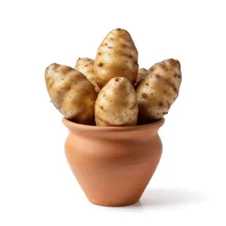 Air potato