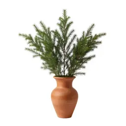 Ibolium privet