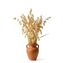 Oat
