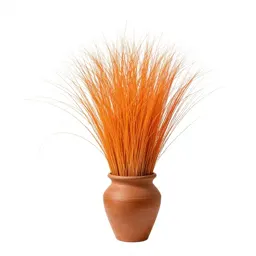 Orange grass
